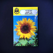 זרעי חמניות נוי